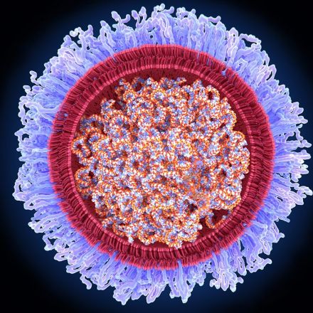 These are the viruses that mRNA vaccines may take on next