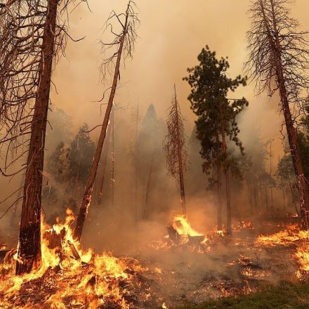 California wildfires continue to rip across state near Yosemite