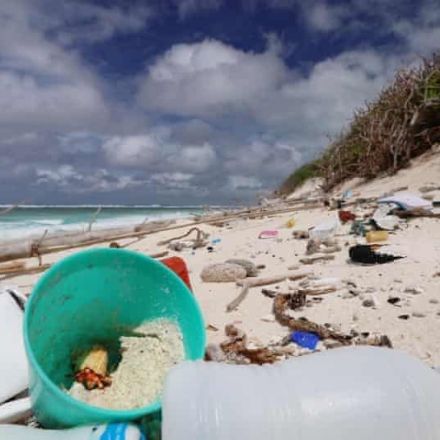 Plastic debris on remote islands raises temperatures by 2.5C and threatens turtle populations