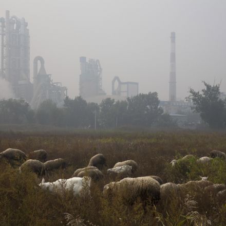 Cement carbon dioxide emissions quietly double in 20 years