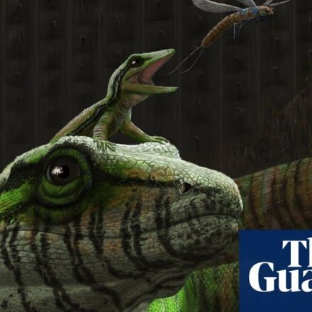 300m-year-old fossil is early sign of creatures caring for their young