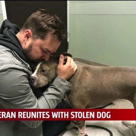 Oklahoma veteran reunites with stolen dog