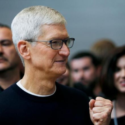 Apple CEO calls for stricter corporate, government climate goals at U.N. summit