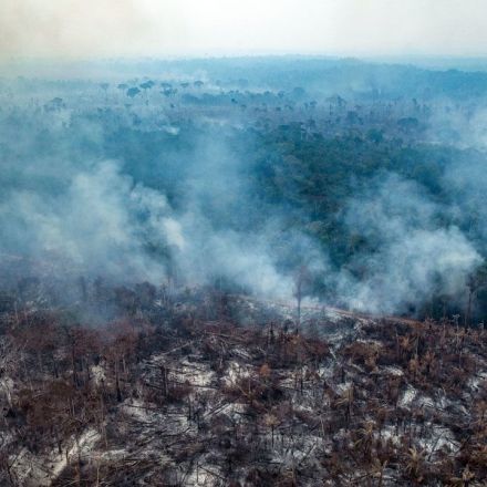 Brazil’s deforestation is exploding—and 2020 will be worse