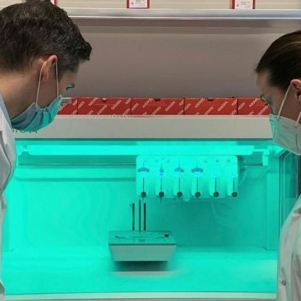 Hope for infertile men as scientists 3D print living testicular cells