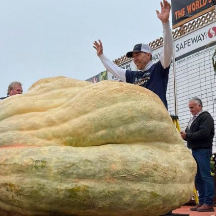 National record for heaviest pumpkin crushed at annual Half Moon Bay weigh-off