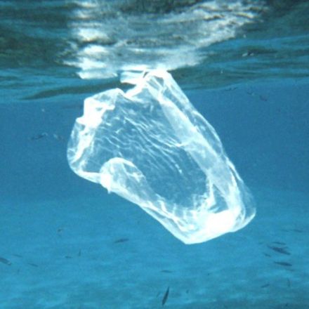 Chile Bans Plastic Bags in 100+ Coastal Areas