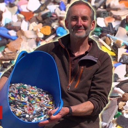 'I found 300 Lego flippers on the beach'