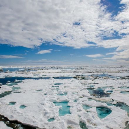 Freakishly Warm Weather in the Arctic Has Climate Scientists 'Stunned'