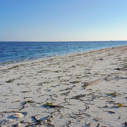 Denmark Spends $150K to Clean Beach Seaweed and Plastic, Then Dumps It Back in the Sea
