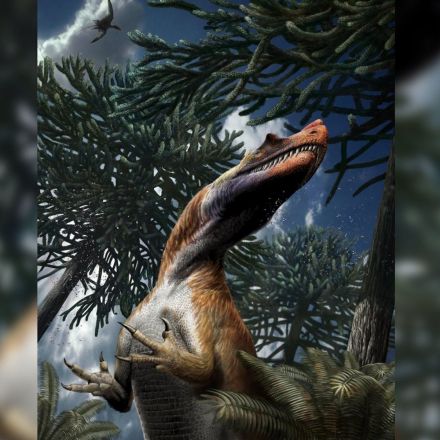 Photos: Carnivorous Dinosaur Discovered in Italian Alps