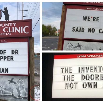 45 Vet Clinic Signs That Help Make Any Pet Owner's Visit More "Paws-itive"