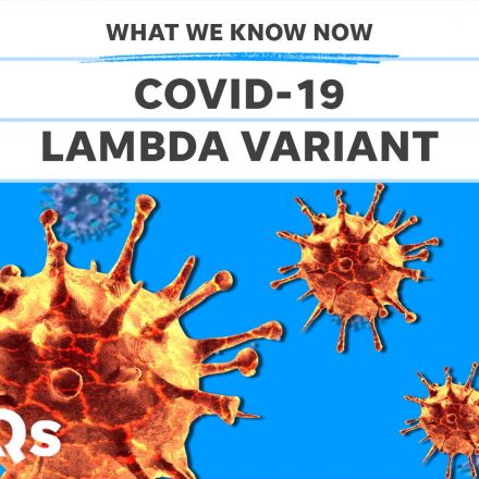 COVID-19 surge could go on for months, projection says; most unvaccinated Americans don't plan on getting shots: Live COVID-19 updates
