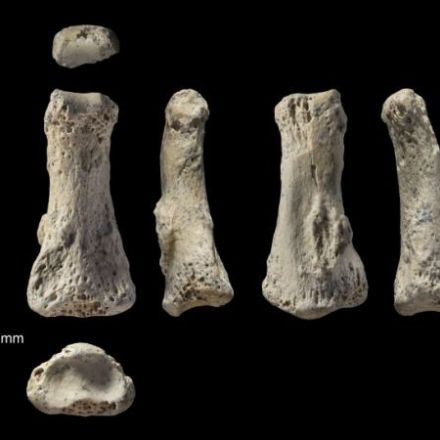 88,000-Year-Old Middle Finger Found in Saudi Arabia Could Rewrite Human History
