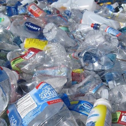 Machine Learning Helped Scientists Create an Enzyme That Breaks Down Plastic at Warp Speed