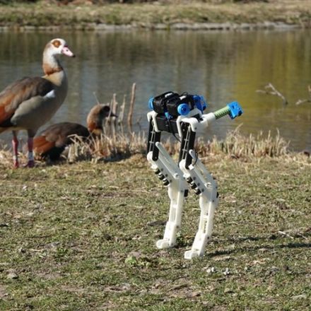 Birds Make Better Bipedal Bots Than Humans Do