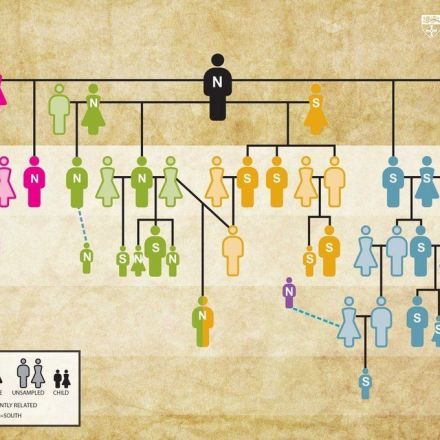 World's oldest family tree created using DNA