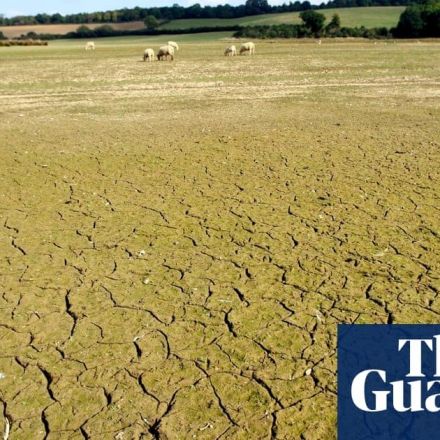 England could face droughts in 20 years due to climate breakdown - report