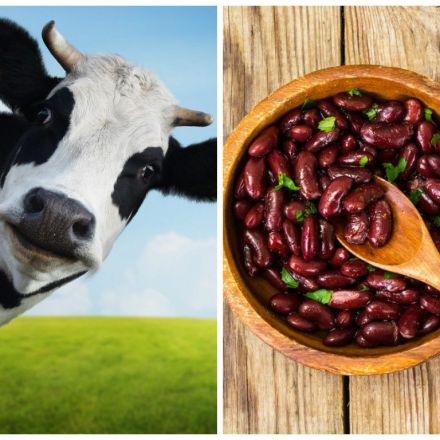 How You Can Help Save the Planet—and Yourself—Simply by Substituting Beans for Beef