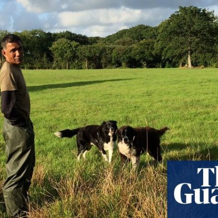 When farmers go vegan: the science behind changing your mind