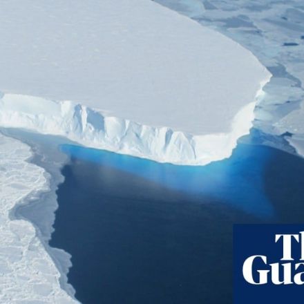 Climate emergency: world 'may have crossed tipping points’