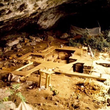 'Ghost' population of humans discovered in ancient Africa