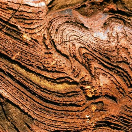 Fossilised microbes from 3.5 billion years ago are oldest yet found