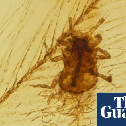 Dinosaurs had feathers ruffled by parasites, study finds
