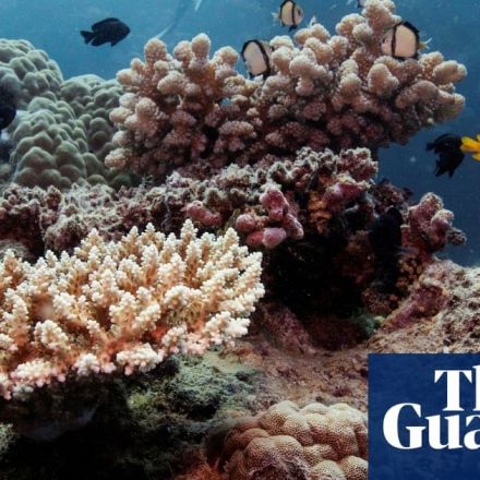 Unsustainable fishing worsens threats to Great Barrier Reef