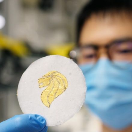 Scientists have developed biodegradable printed paper batteries