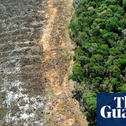 Just 3% of world’s ecosystems remain intact, study suggests