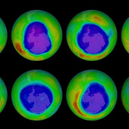 New measurement confirms: The ozone is coming back
