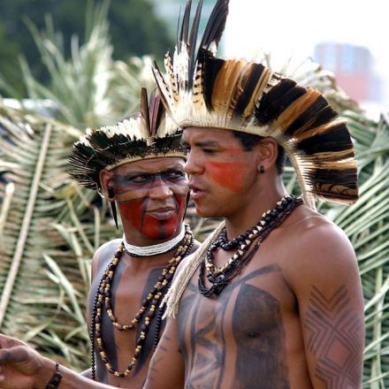 Extinction of Indigenous languages leads to loss of exclusive knowledge about medicinal plants