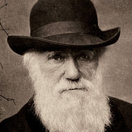 Charles Darwin: Notebooks worth millions lost for 20 years