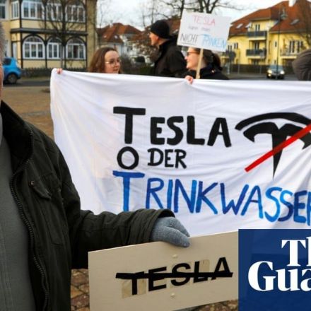 German court orders Tesla to stop felling trees for Gigafactory