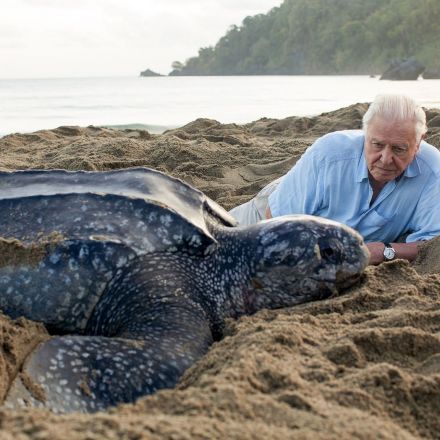 Oceans under greatest threat in history, warns Sir David Attenborough