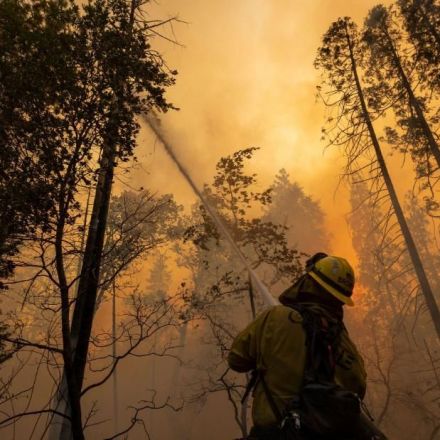 California's Oak Fire is displaying 'unprecedented' behavior as it scorches more than 16,000 acres near Yosemite National Park