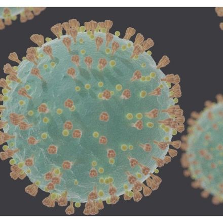 Coronavirus antibodies fall dramatically in first 3 months after mild cases of COVID-19