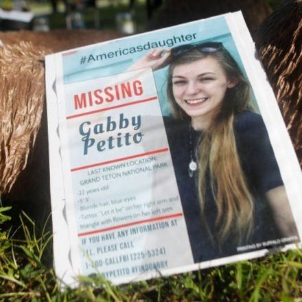 Gabby Petito: Body found in Wyoming is missing 'van life' blogger