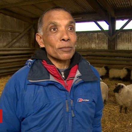 'Upset' farmer saves abattoir-bound lambs