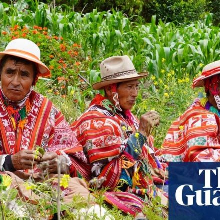 A seed for all seasons: can ancient methods future-proof food security in the Andes?