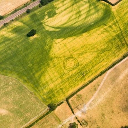 U.K. heatwave reveals ancient buried ruins