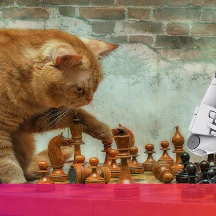 Why your cat is lousy at chess yet way smarter than even the most advanced AI