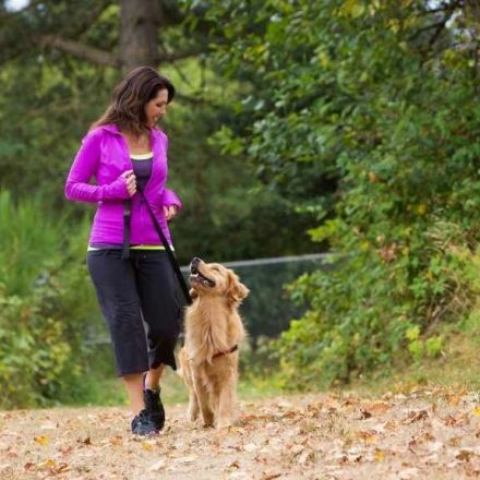 Your heart’s best friend: Dog ownership associated with better cardiovascular health