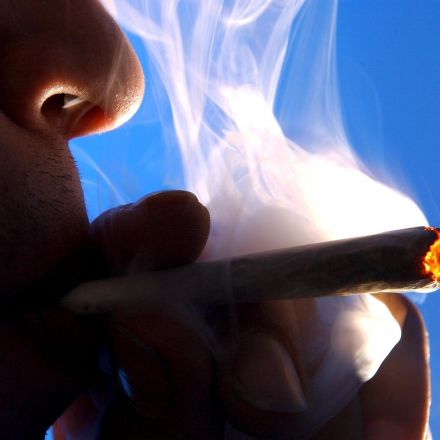 High libido? Cannabis smokers have 20% more sex, researchers find