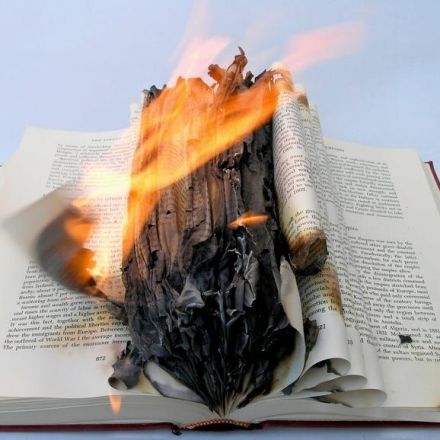 Librarian's lament: Digital books are not fireproof