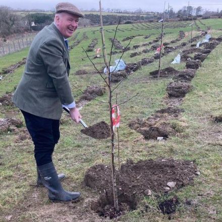 Planting of 85,000-tree Isle of Man 'people's wood' begins