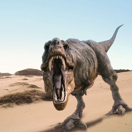 Tyrannosaurus Rex Found In Canada Is The World's Largest T-Rex