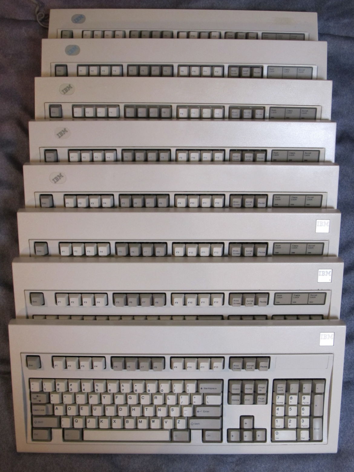 Switch: Buckling Springs   <br />
IBM Model M