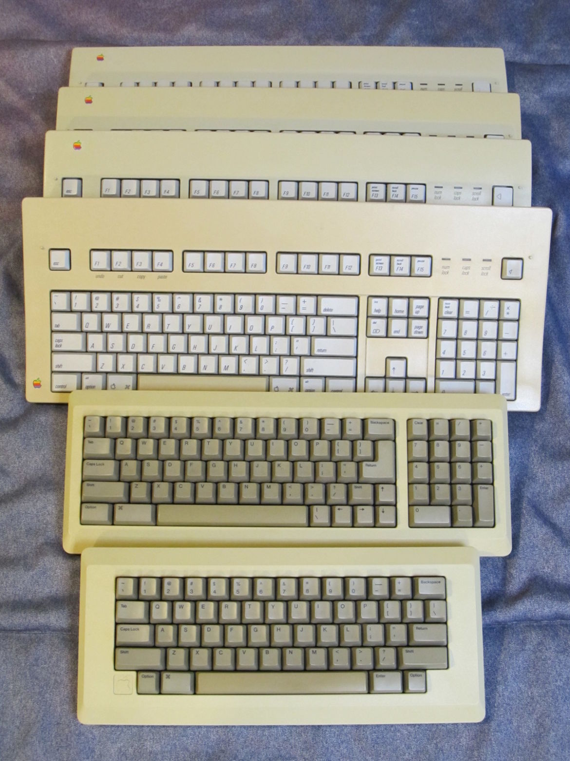 Switch: ALPS   <br />
Apple M0110, Apple M0110A, Apple Extended Keyboard, 3x Apple Extended Keyboard II